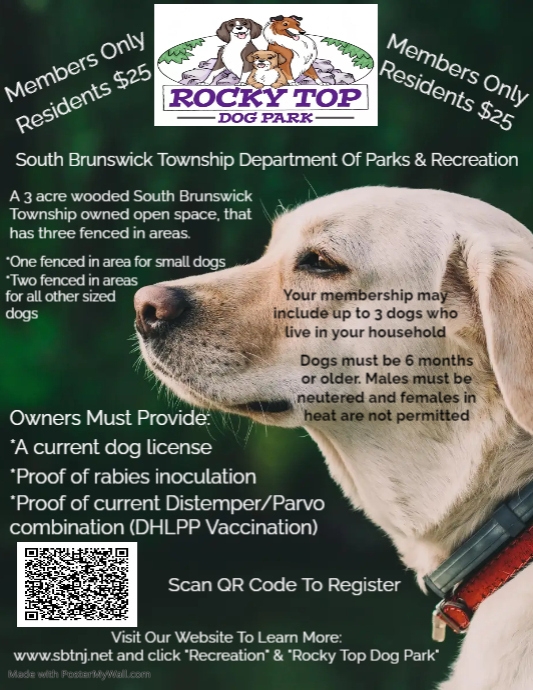 Dog Park Flier